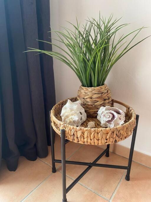 Appartement Sainte-Anne المظهر الخارجي الصورة